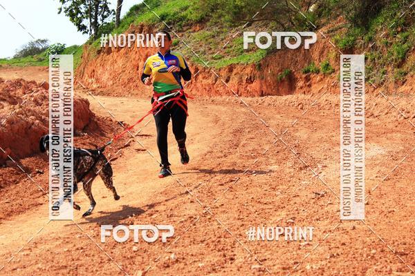 Compra tus fotos del eventoTreino Premiado de Canicross En Fotop