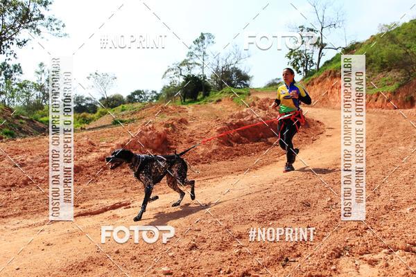 Compra tus fotos del eventoTreino Premiado de Canicross En Fotop