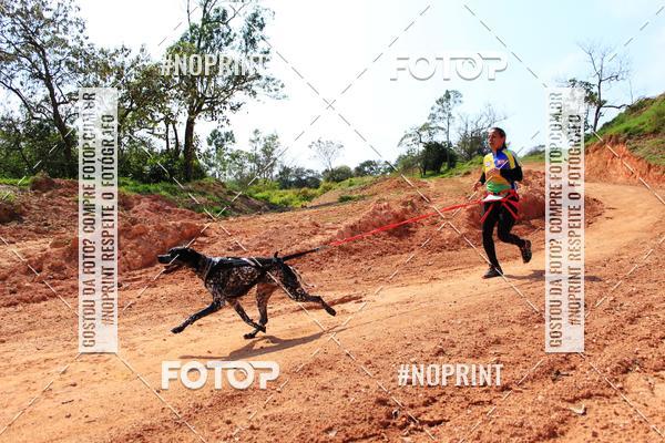 Acquista le foto dell'eventoTreino Premiado de Canicross in Fotop