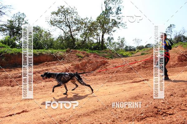 Acquista le foto dell'eventoTreino Premiado de Canicross in Fotop