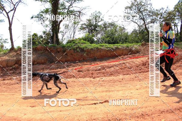 Acquista le foto dell'eventoTreino Premiado de Canicross in Fotop