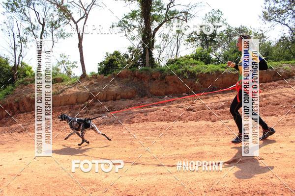 Acquista le foto dell'eventoTreino Premiado de Canicross in Fotop