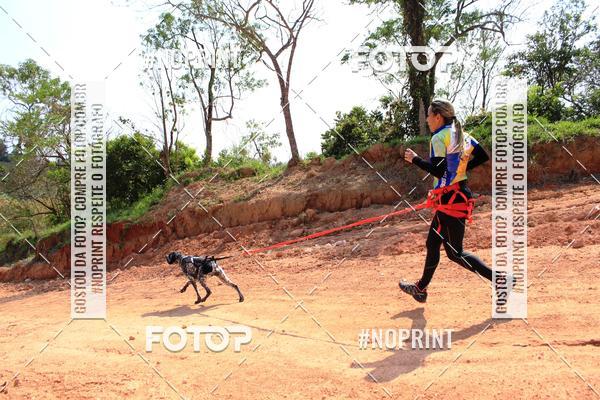 Acquista le foto dell'eventoTreino Premiado de Canicross in Fotop
