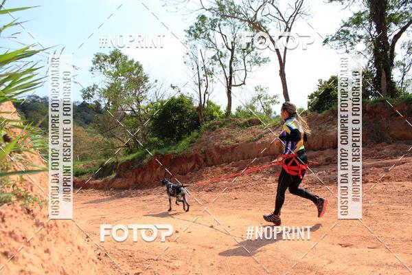 Acquista le foto dell'eventoTreino Premiado de Canicross in Fotop