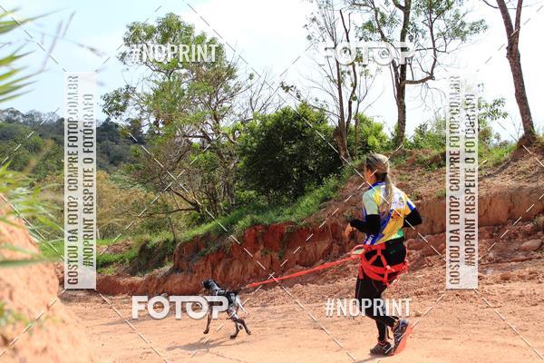 Acquista le foto dell'eventoTreino Premiado de Canicross in Fotop