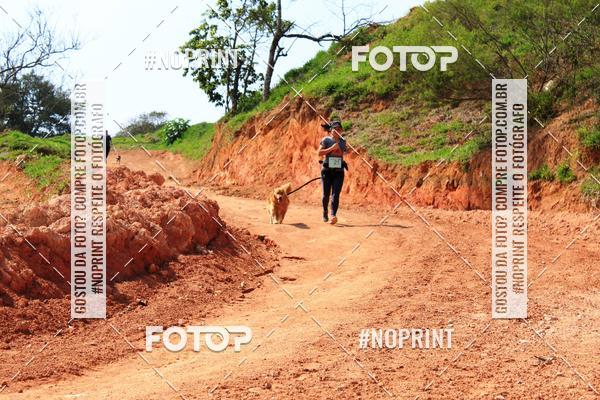 Acquista le foto dell'eventoTreino Premiado de Canicross in Fotop