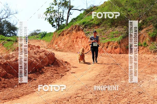 Acquista le foto dell'eventoTreino Premiado de Canicross in Fotop