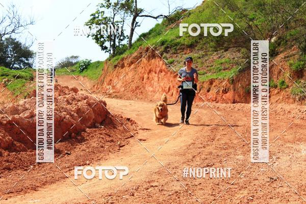 Acquista le foto dell'eventoTreino Premiado de Canicross in Fotop