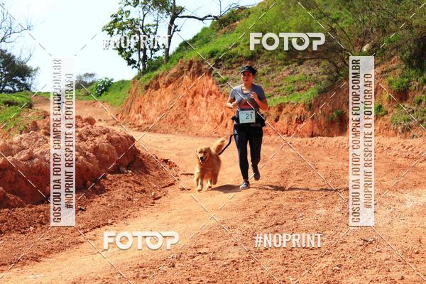 Acquista le foto dell'eventoTreino Premiado de Canicross in Fotop