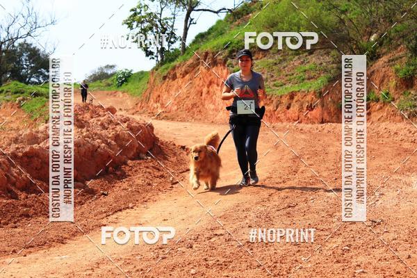 Acquista le foto dell'eventoTreino Premiado de Canicross in Fotop