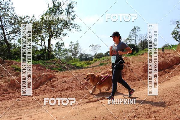 Acquista le foto dell'eventoTreino Premiado de Canicross in Fotop