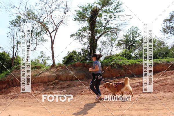 Acquista le foto dell'eventoTreino Premiado de Canicross in Fotop