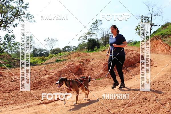 Acquista le foto dell'eventoTreino Premiado de Canicross in Fotop