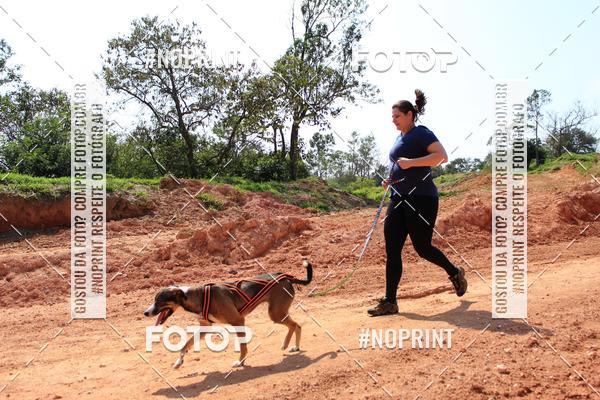 Acquista le foto dell'eventoTreino Premiado de Canicross in Fotop