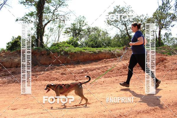 Compra tus fotos del eventoTreino Premiado de Canicross En Fotop