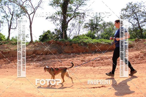 Compra tus fotos del eventoTreino Premiado de Canicross En Fotop