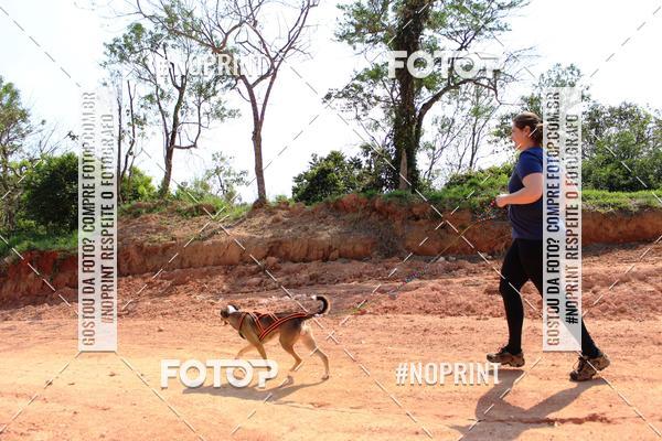 Compra tus fotos del eventoTreino Premiado de Canicross En Fotop