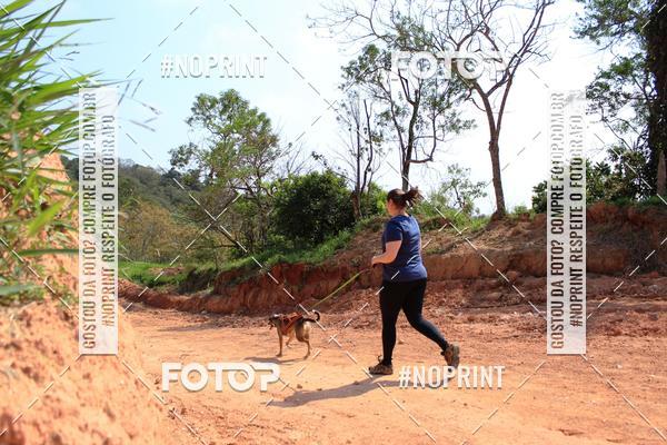 Compra tus fotos del eventoTreino Premiado de Canicross En Fotop