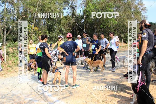 Compra tus fotos del eventoTreino Premiado de Canicross En Fotop