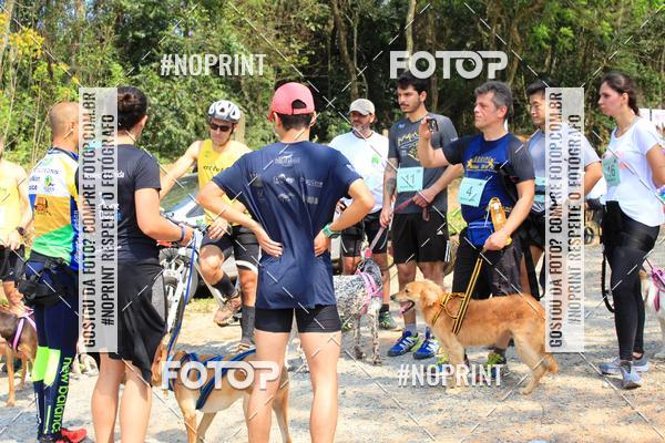 Compra tus fotos del eventoTreino Premiado de Canicross En Fotop