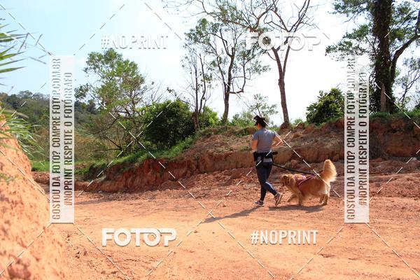 Compra tus fotos del eventoTreino Premiado de Canicross En Fotop