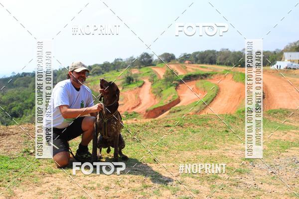 Compra tus fotos del eventoTreino Premiado de Canicross En Fotop