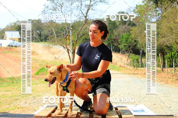 Compra tus fotos del eventoTreino Premiado de Canicross En Fotop