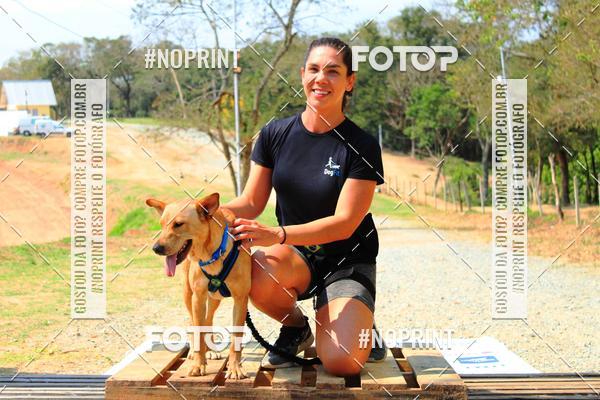 Compra tus fotos del eventoTreino Premiado de Canicross En Fotop
