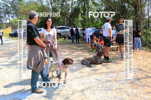 Compre suas fotos do eventoTreino Premiado de Canicross no Fotop