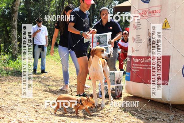 Compre suas fotos do eventoTreino Premiado de Canicross no Fotop
