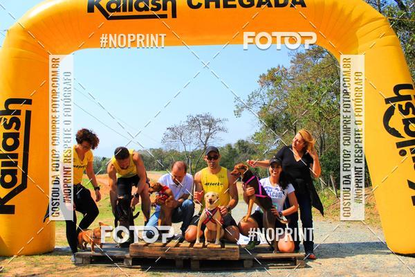 Compre suas fotos do eventoTreino Premiado de Canicross no Fotop