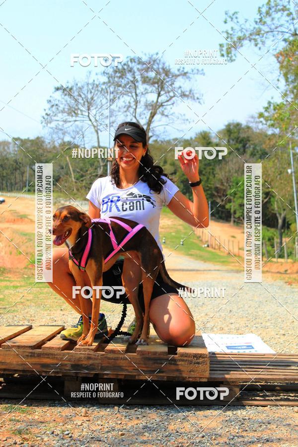 Compre suas fotos do eventoTreino Premiado de Canicross no Fotop