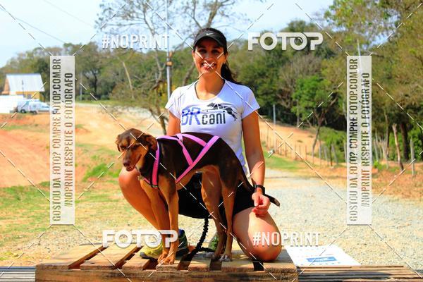 Compre suas fotos do eventoTreino Premiado de Canicross no Fotop