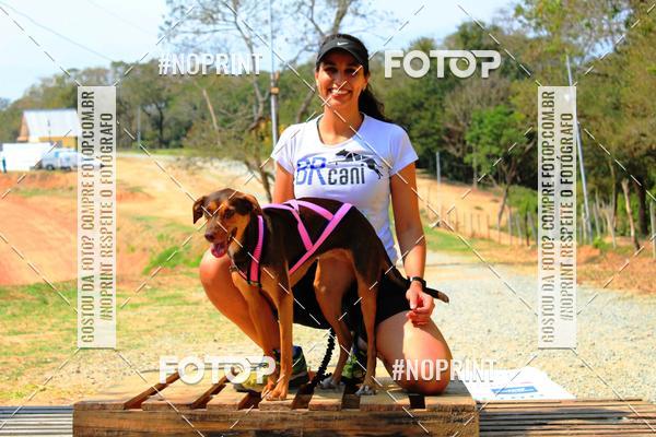 Compre suas fotos do eventoTreino Premiado de Canicross no Fotop