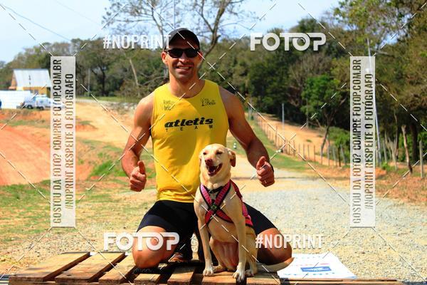 Acquista le foto dell'eventoTreino Premiado de Canicross in Fotop