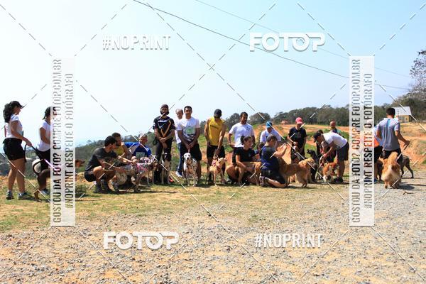 Acquista le foto dell'eventoTreino Premiado de Canicross in Fotop