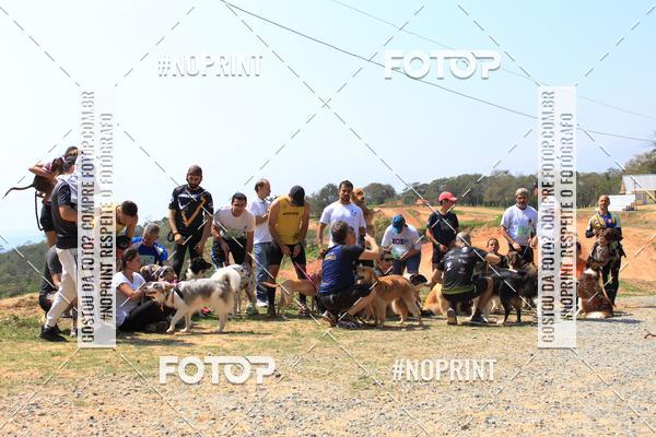 Acquista le foto dell'eventoTreino Premiado de Canicross in Fotop