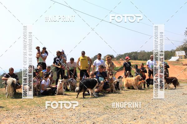 Acquista le foto dell'eventoTreino Premiado de Canicross in Fotop