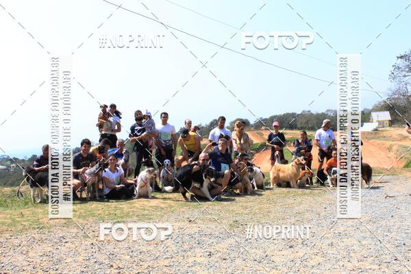 Acquista le foto dell'eventoTreino Premiado de Canicross in Fotop