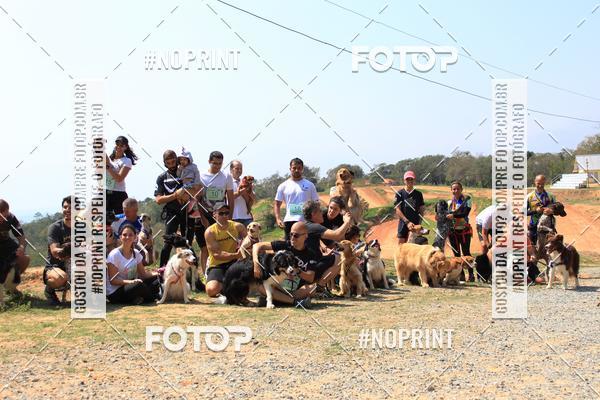 Acquista le foto dell'eventoTreino Premiado de Canicross in Fotop
