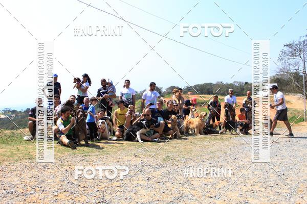 Acquista le foto dell'eventoTreino Premiado de Canicross in Fotop