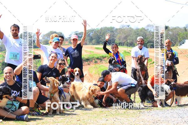 Acquista le foto dell'eventoTreino Premiado de Canicross in Fotop