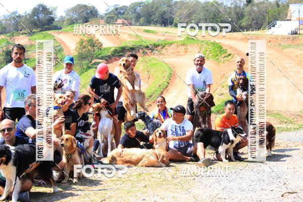 Acquista le foto dell'eventoTreino Premiado de Canicross in Fotop
