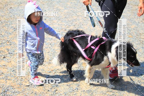 Acquista le foto dell'eventoTreino Premiado de Canicross in Fotop