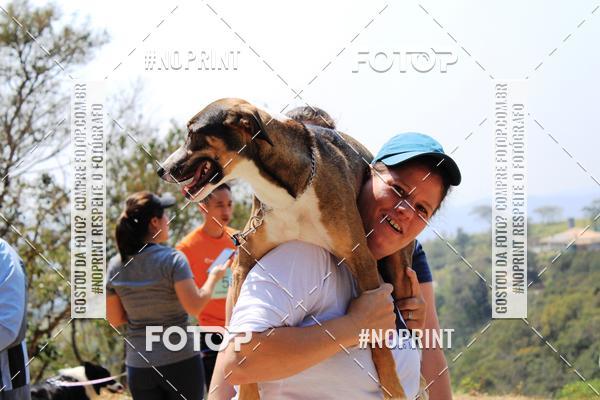 Acquista le foto dell'eventoTreino Premiado de Canicross in Fotop