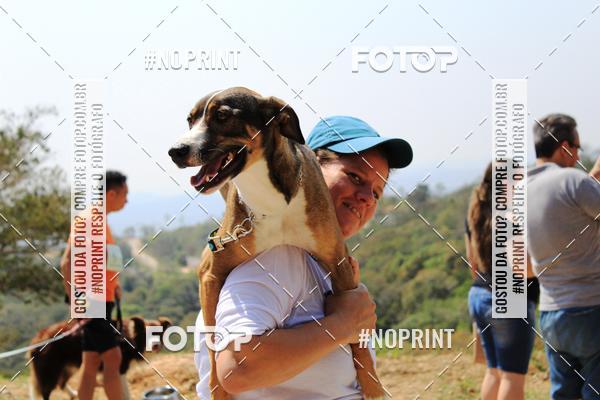 Acquista le foto dell'eventoTreino Premiado de Canicross in Fotop