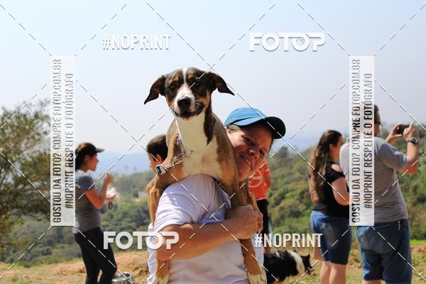 Acquista le foto dell'eventoTreino Premiado de Canicross in Fotop