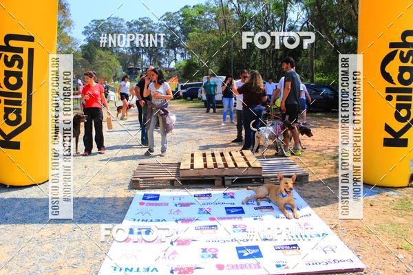 Achetez vos photos de l'vnementTreino Premiado de Canicross sur Fotop