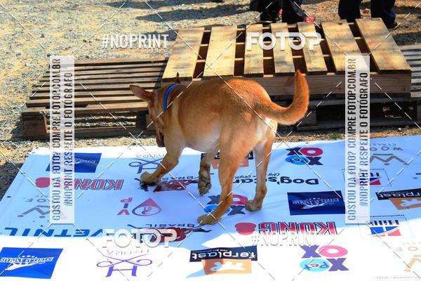 Achetez vos photos de l'vnementTreino Premiado de Canicross sur Fotop