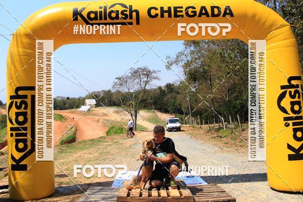 Achetez vos photos de l'vnementTreino Premiado de Canicross sur Fotop